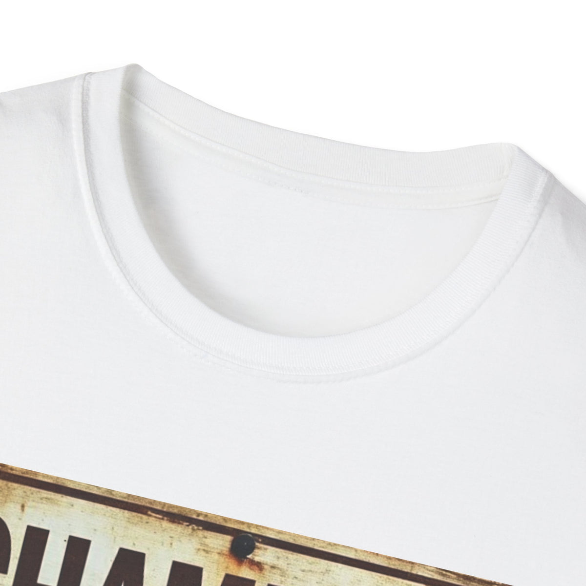 Champion of Sarcasm T-Shirt — Funny Vintage Sign Tee for Sarcastic Humor Lovers