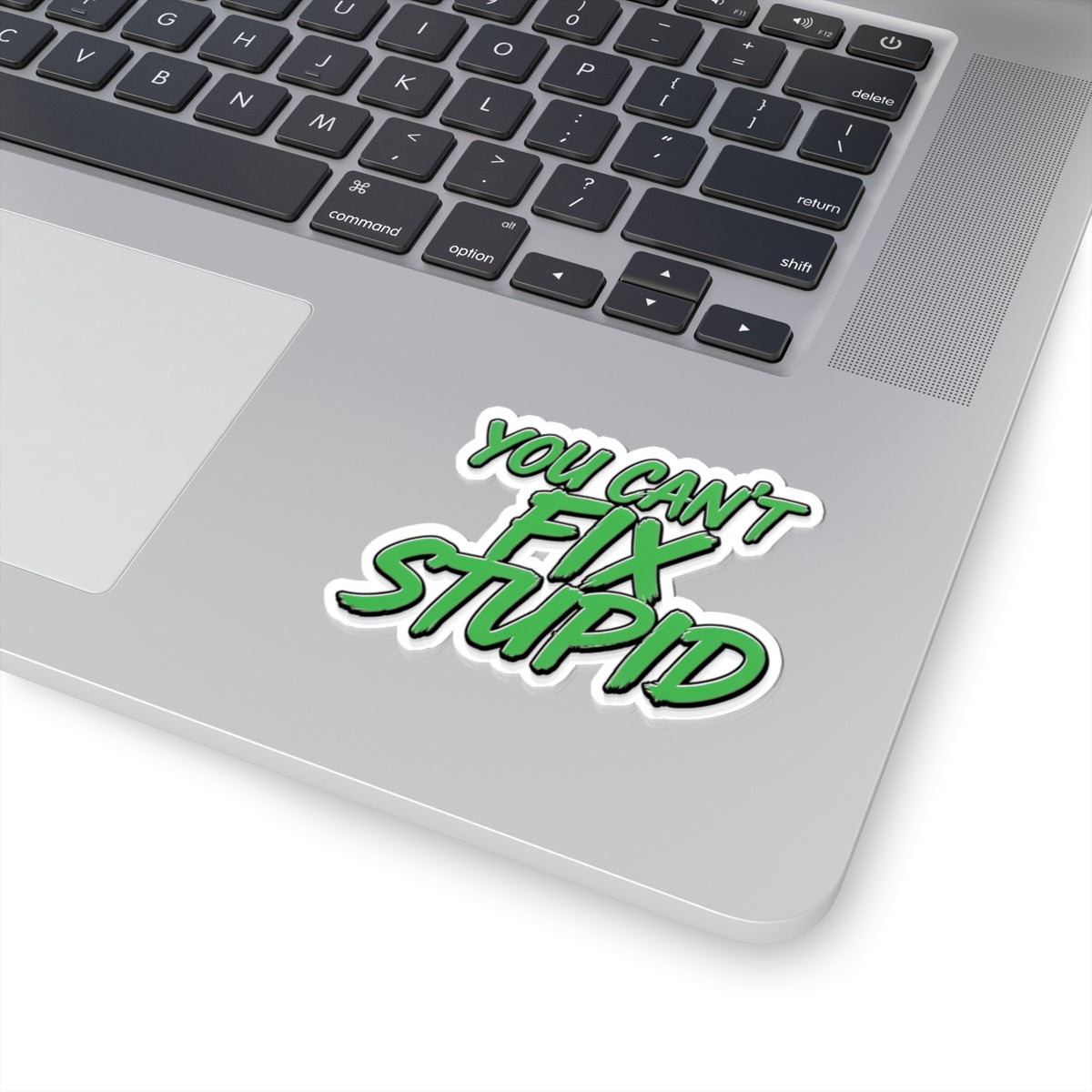 You Can't Fix Stupid - Funny Kiss-Cut Sticker (Green Script)