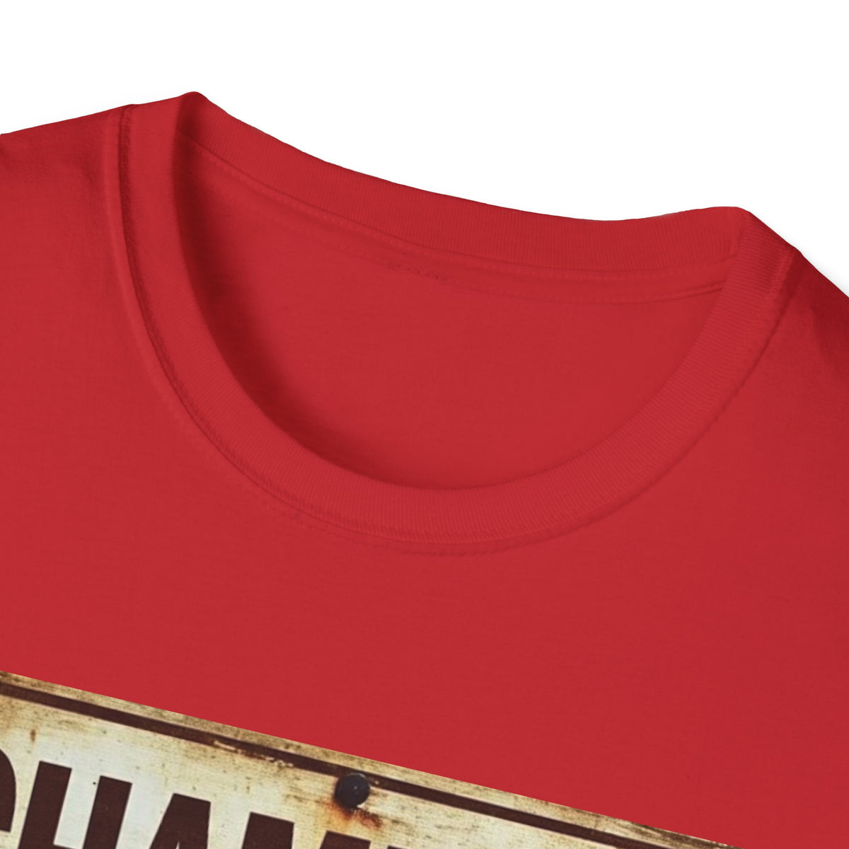 Champion of Sarcasm T-Shirt — Funny Vintage Sign Tee for Sarcastic Humor Lovers