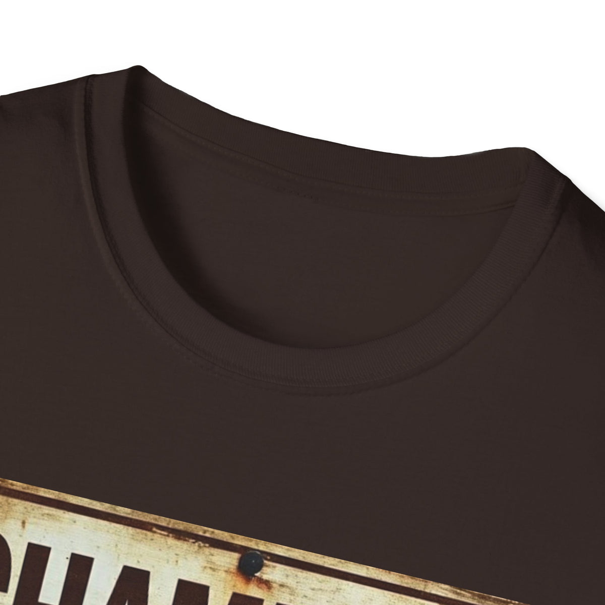 Champion of Sarcasm T-Shirt — Funny Vintage Sign Tee for Sarcastic Humor Lovers
