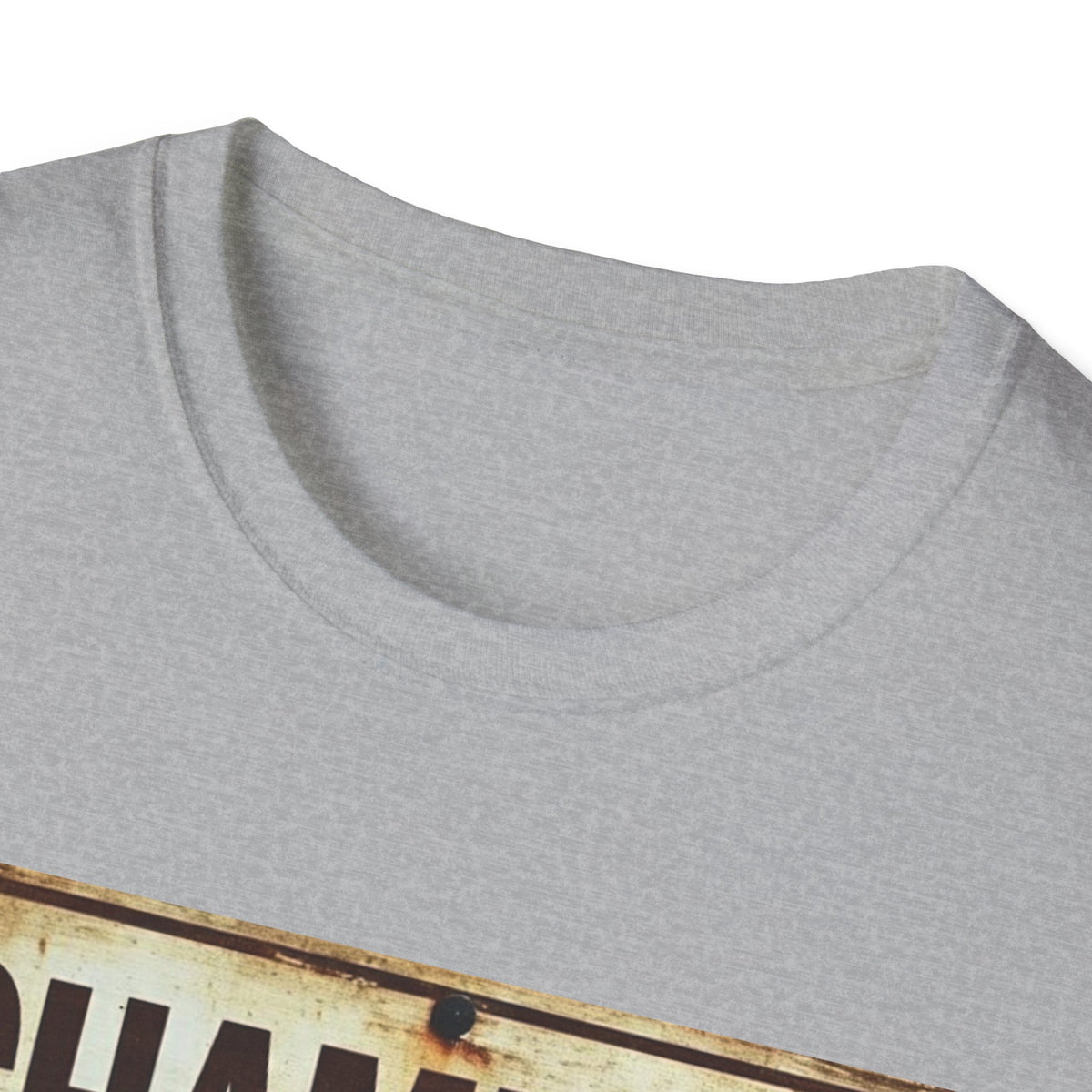 Champion of Sarcasm T-Shirt — Funny Vintage Sign Tee for Sarcastic Humor Lovers