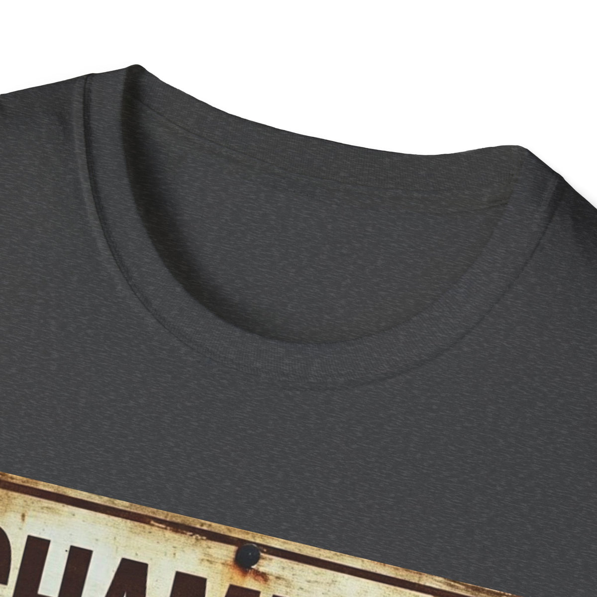 Champion of Sarcasm T-Shirt — Funny Vintage Sign Tee for Sarcastic Humor Lovers