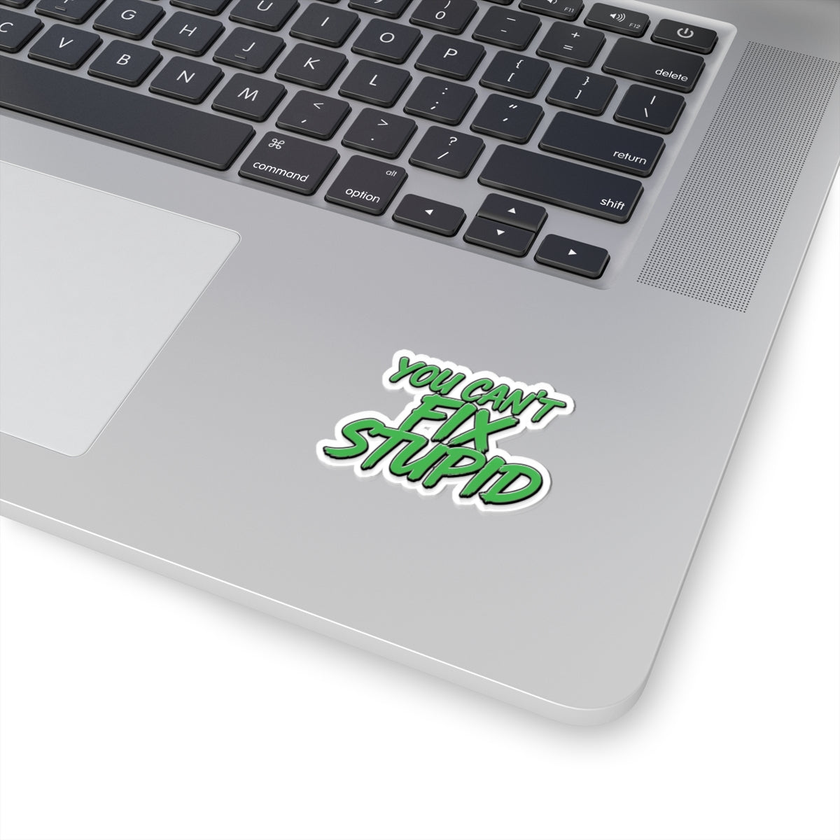 You Can't Fix Stupid - Funny Kiss-Cut Sticker (Green Script)