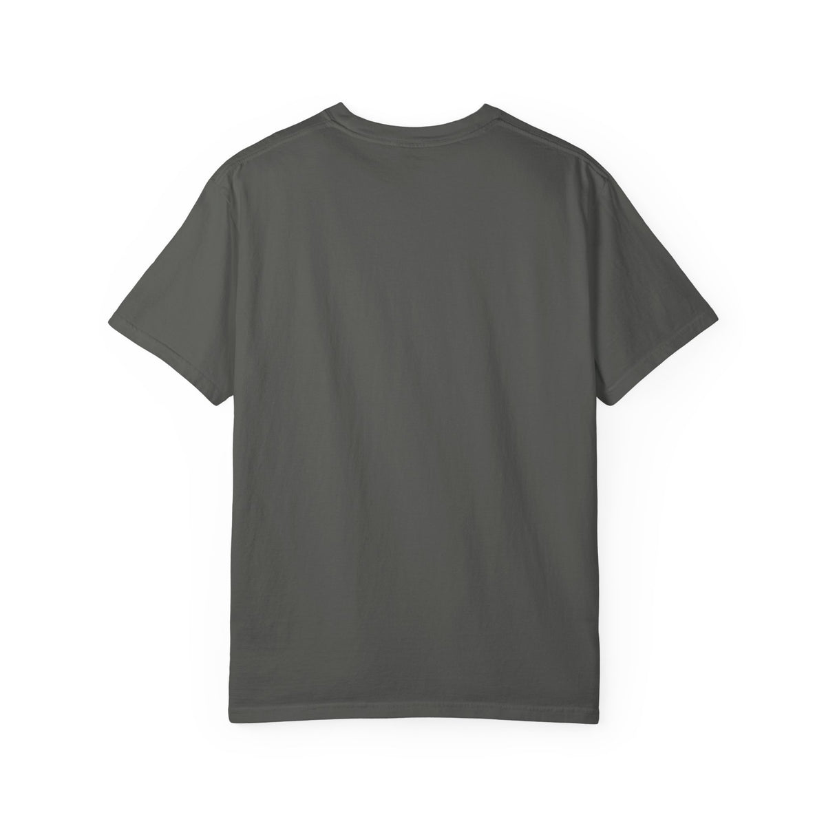 Funny Parenting T-Shirt — “I’m Not Saying My Kids Are Lazy, But…” Tee
